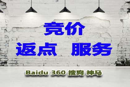 成功SEM推广代运营案例展示