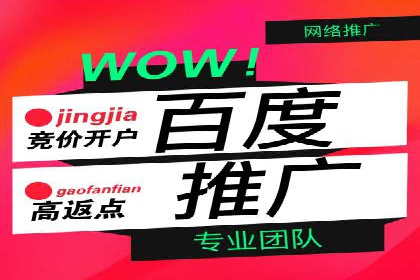 百度推广广告成功案例集锦